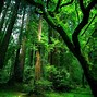 Image result for Green Desktop Wallpaper