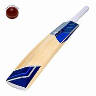 Image result for Blue Color Bat Cricket