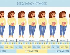 Image result for Types of Pregnancy