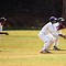 Image result for Cricket Images for Project