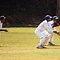 Image result for Cricket for Kids