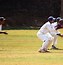 Image result for Cricket Cup Protection