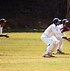 Image result for Cricket