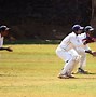 Image result for Cricket Match On Baseball Ground
