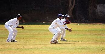 Image result for Cricket