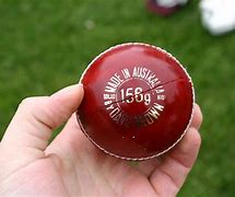 Image result for Funny Jokes About Cricket