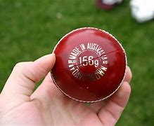 Image result for The Art of Back Yard Cricket