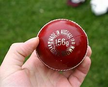 Image result for iPhones Threw Cricket