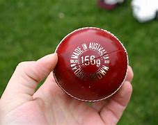 Image result for GN 800 Cricket Bag