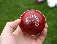 Image result for Gray-Nicolls Cricket Pads