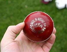 Image result for Cricket Before