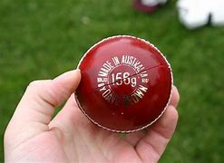 Image result for Cricket Bat Handle