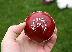 Image result for Cricket Thai Pad