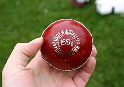 Image result for Cricket Bag Rebel Sport
