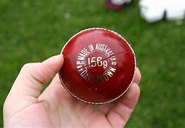 Image result for Cricket Bouncer