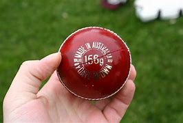 Image result for Cricket Printer