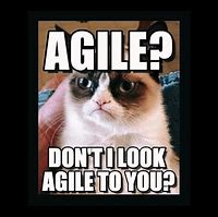 Image result for Agile MVP Meme