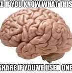 Image result for Evolution Human Brain Meme