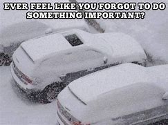 Image result for Snow Ban Memes