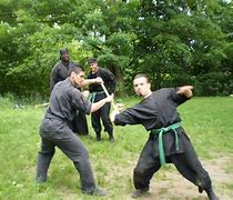 Image result for Ninjutsu Martial Arts