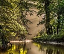 Image result for Nedherland Nature