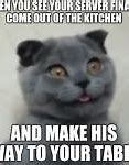 Image result for derpy cats memes generators