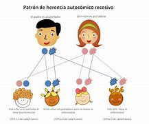 Image result for acrdencia