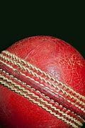 Image result for Cricket Bat Ball