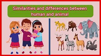 Image result for Similarities and Differences Between Humans