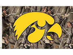 Image result for Iowa Hawkeye Wallpaper 4K