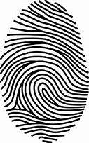 Image result for Fingerprint Clip Art Transparent