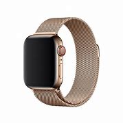 Image result for Bronze Apple Watch
