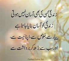 Image result for Urdu Poetry About Life