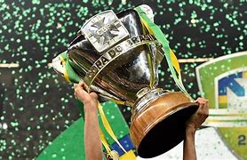 Image result for Copa De Brasil