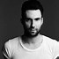 Image result for Adam Levine Brother
