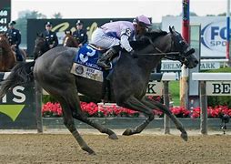 Image result for Arcangelo Belmont Stakes