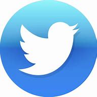 Image result for Twitter Logo with Gradient