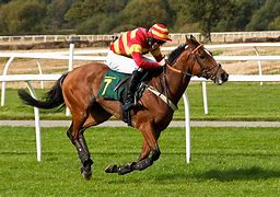 Image result for Horse Jockey