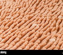 Image result for Beige Carpet Texture Seamless