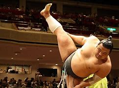 Image result for Sumo Wrestling Circle