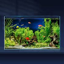 Image result for Clear Fish Tank