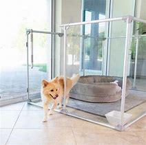 Image result for Dog.com Glass