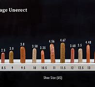 Image result for Size Inside Inches