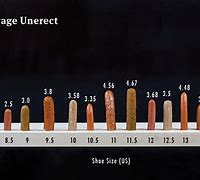 Image result for 17 Cm in Inches