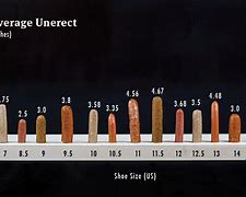 Image result for How Long Is 9 Inches