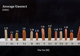 Image result for 10 Inches Ruler Real Size