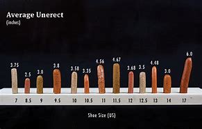 Image result for How Long Is 1 Inches