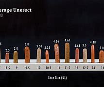 Image result for How Long Is 2 Cm