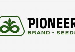 Image result for Pioneer Corn Logo