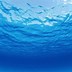 Image result for Clear Ocean Water Wallpaper